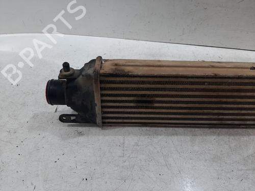 Intercooler FIAT DOBLO Platform/Chassis (263_) 1.3 D Multijet | BP32422635M30