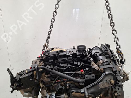 Engine FORD FOCUS III 1.6 TDCi | BP37072665M1 - Image 6