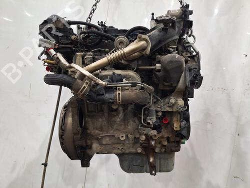 Engine FORD C-MAX II (DXA/CB7, DXA/CEU) 1.5 TDCi ECOnetic | BP39143178M1 - Image 6