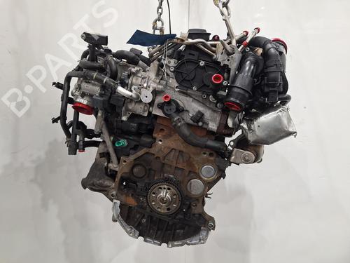 Used Engine AUDI A4 B9 (8W2, 8WC) 2.0 TDI (150 hp) 31769219