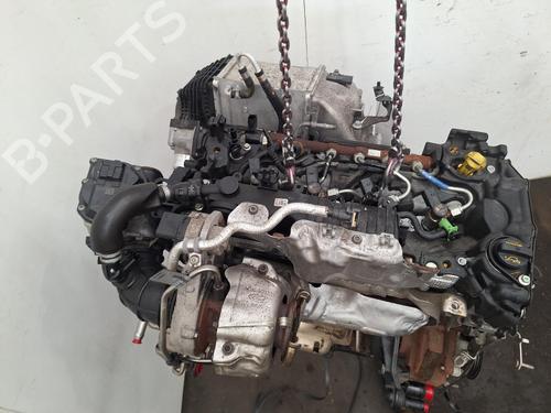 Engine FORD KUGA III (DFK) 2.0 EcoBlue 4x4 | BP40600803M1 - Image 6