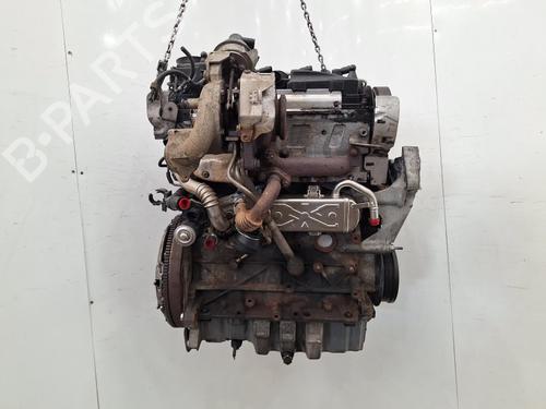 Engine SKODA SUPERB II (3T4) 1.6 TDI | BP40533363M1 - Image 5