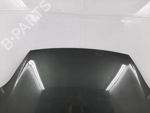 Hood FIAT PUNTO EVO (199_) 1.4 (199AXB1A) | BP26846335C1 