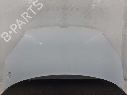 Used Hood RENAULT KANGOO Express (FW0/1_) 1.5 dCi 110 (FW06, FW12) (110 hp) 28722920