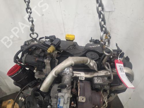 Engine RENAULT MEGANE III Coupe (DZ0/1_) 1.5 dCi (DZ09, DZ0D, DZ1F, DZ1G, DZ14, DZ29) | BP40455520M1 - Image 5