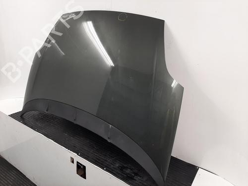 Hood FIAT PUNTO EVO (199_) 1.4 (199AXB1A) | BP26846335C1 