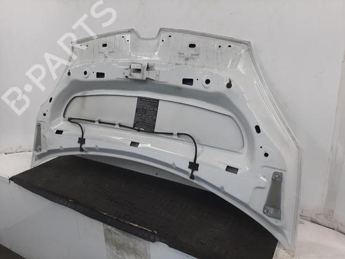 Hood RENAULT KANGOO Express (FW0/1_) 1.5 dCi 90 (FW0G, FW05, FW08, FW11) | BP28275313C1 
