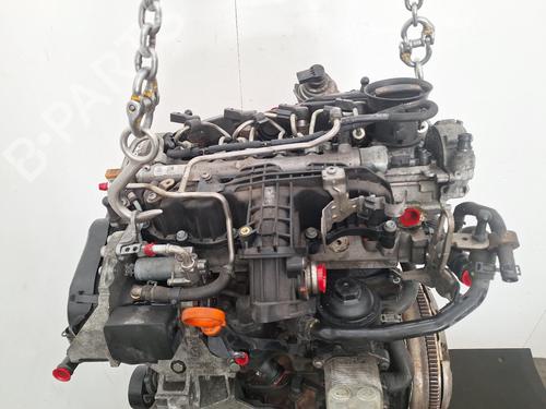 Engine VW GOLF PLUS V (5M1, 521) 1.6 TDI | BP33555784M1  - Image 6