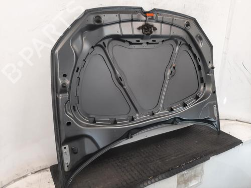 Hood VW POLO V (6R1, 6C1) 1.2 | BP28069480C1 