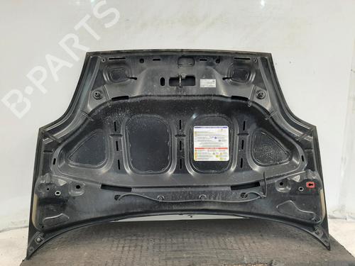 Hood FIAT PUNTO (199_) 1.2 (199AXZ1A, 199BXZ1A) | BP29398115C1 