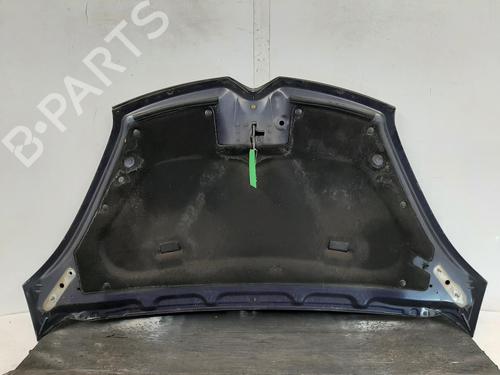 Hood CITROËN C4 Grand Picasso I (UA_) 1.6 HDi 110 | BP26797470C1
