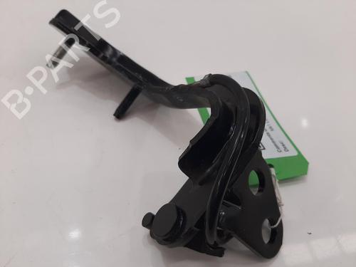 Hinge/Door check strap JAGUAR I-PACE (X590) EV400 AWD | BP29059394C146 