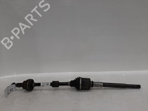 BP26857137O1 main image