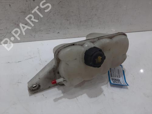 expansion-tank-nissan-juke-f15-2010-2011-2012-2013-2014-2015-2016-2017-2018-2019-38045122 main image