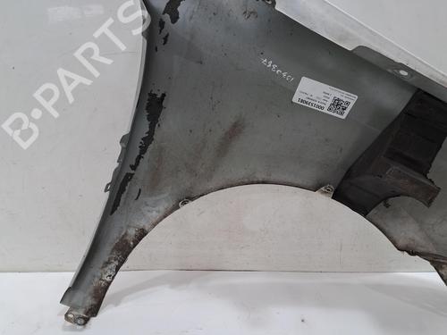 Left front fenders VW POLO V (6R1, 6C1) 1.2 | BP29809881C41