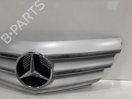 Grille MERCEDES-BENZ B-CLASS Sports Tourer (W245) B 160 (245.231) | BP26845644C40 