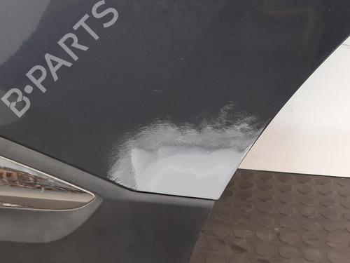 Left rear door RENAULT KADJAR (HA_, HL_) 1.5 dCi 110 (HLA3) | BP29397896C4