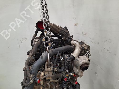 Engine FORD TRANSIT CUSTOM V362 Van (FY, FZ) 2.0 EcoBlue | BP40040114M1 - Image 5