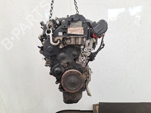 Used Engine FORD FOCUS III 1.6 TDCi (115 hp) 28311833