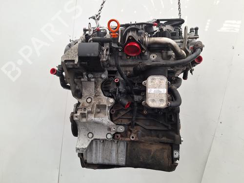 Engine VW GOLF PLUS V (5M1, 521) 1.6 TDI | BP36985948M1 - Image 2