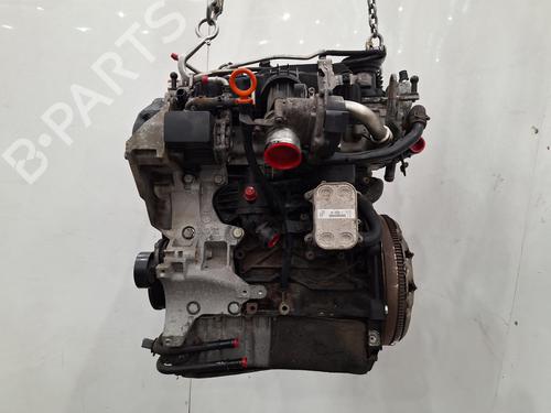 Engine SKODA FABIA II (542) 1.6 TDI | BP38266080M1 - Image 4