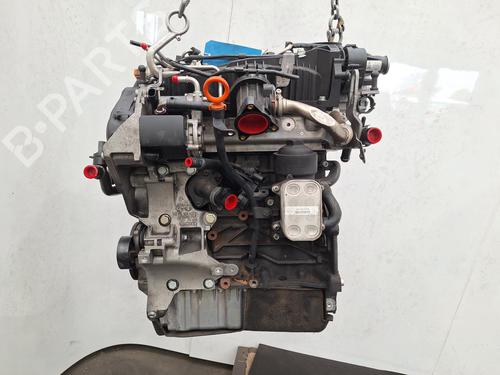Engine VW GOLF VI (5K1) 1.6 TDI | BP28507378M1