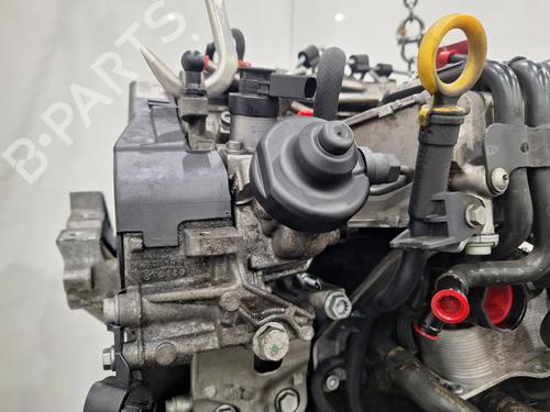 Motor AUDI A3 (8V1, 8VK) 1.6 TDI | BP30829738M1