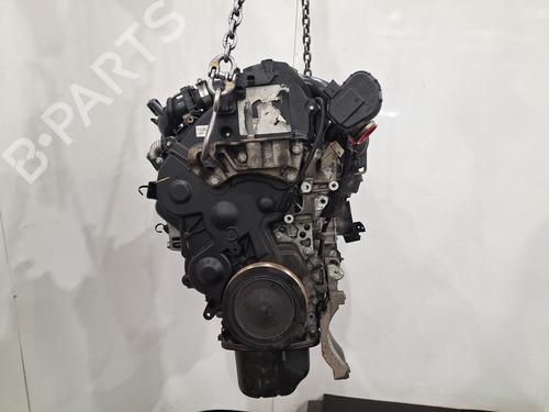Used Engine FORD C-MAX II (DXA/CB7, DXA/CEU) 1.6 TDCi (115 hp) 31361798