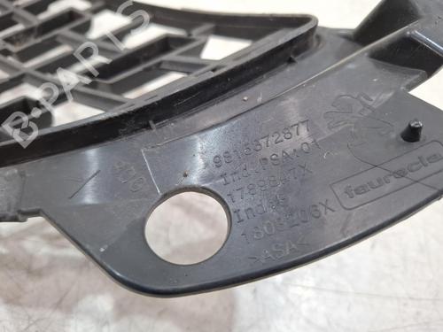 Grill PEUGEOT 2008 I (CU_) 1.2 THP 110 / PureTech 110 | BP39657334C40 - Image 2