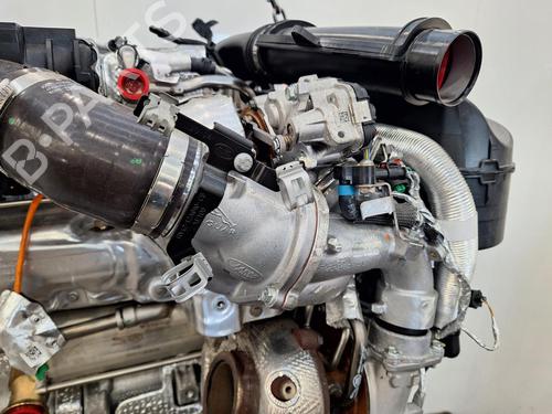 Engine LAND ROVER DISCOVERY V (L462) D350 MHEV 4x4 | BP31999059M1 
