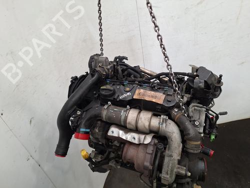 Engine FORD C-MAX II (DXA/CB7, DXA/CEU) 1.5 TDCi | BP38463699M1 - Image 6