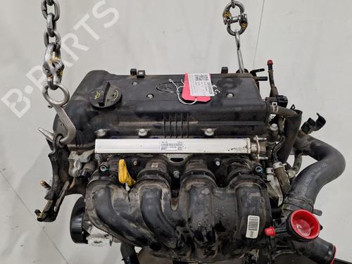 Engine KIA VENGA (YN) 1.6 CVVT | BP29554121M1 