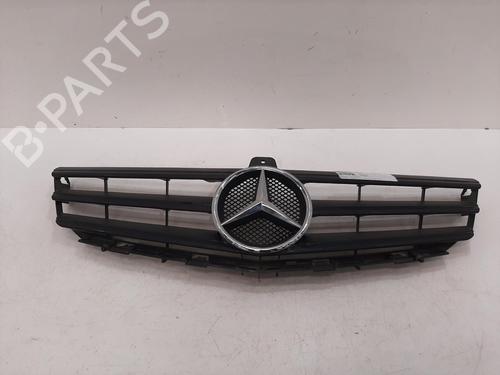 Grill Grill MERCEDES-BENZ A-CLASS (W169) A 160 (169.031, 169.331) (95 hp) 34233321 34233321