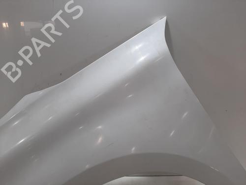 Left front fenders CITROËN C4 Picasso II 1.6 HDi 90 | BP29060411C41 
