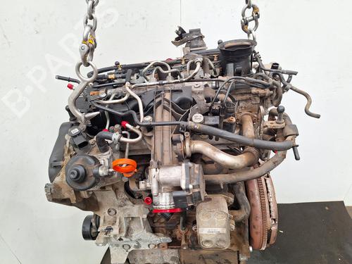 Engine SEAT IBIZA IV (6J5, 6P1) 2.0 TDI | BP36384019M1 - Image 6