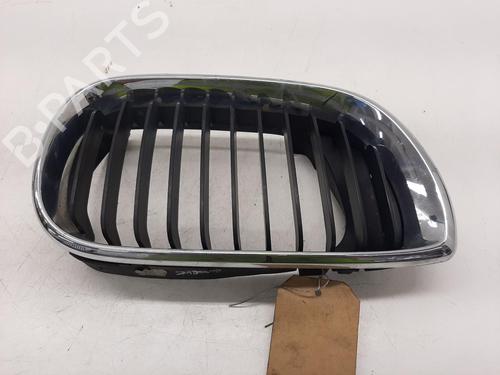 Grille BMW 3 (E46) 316 i | BP26817566C40 
