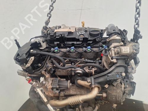 Engine FORD C-MAX II (DXA/CB7, DXA/CEU) 1.5 TDCi | BP37991354M1 - Image 5