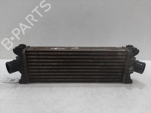 Intercooler FORD TRANSIT CUSTOM V362 Van (FY, FZ) 2.2 TDCi (125 hp) 26775567