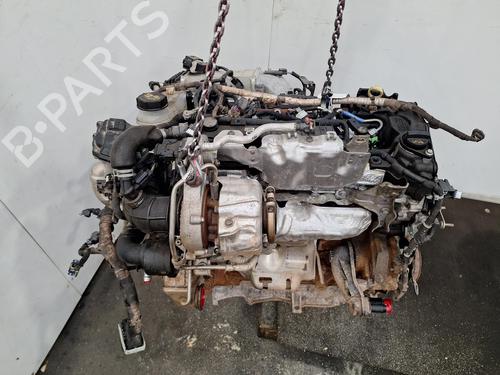 Engine FORD KUGA III (DFK) 2.0 EcoBlue 4x4 | BP39471062M1 - Image 6