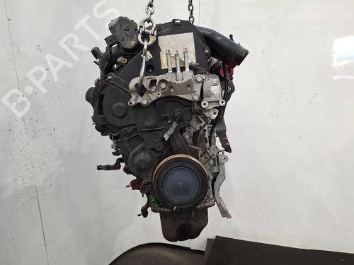 Used Engine FORD FIESTA VI (CB1, CCN) 1.5 TDCi (75 hp) 31208971