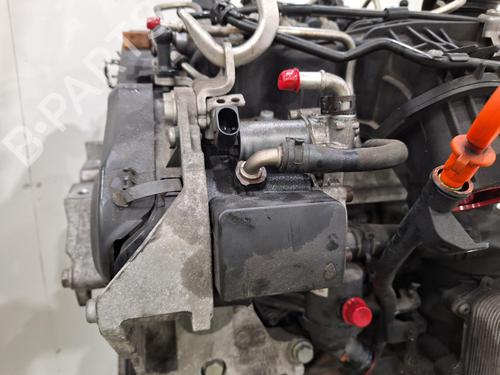 Engine AUDI A3 Convertible (8P7) 1.6 TDI | BP30180467M1