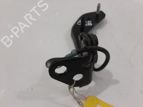 Hinge/Door check strap JAGUAR I-PACE (X590) EV400 AWD | BP29417277C146 