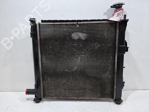 Kit radiatore Kit radiatore 39573446 39573446