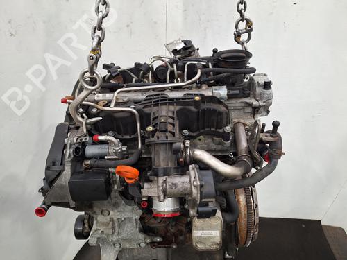 Engine AUDI A3 Convertible (8P7) 1.6 TDI | BP35922880M1 - Image 6