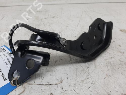 Hinge/Door check strap JAGUAR I-PACE (X590) EV400 AWD | BP26797839C146 