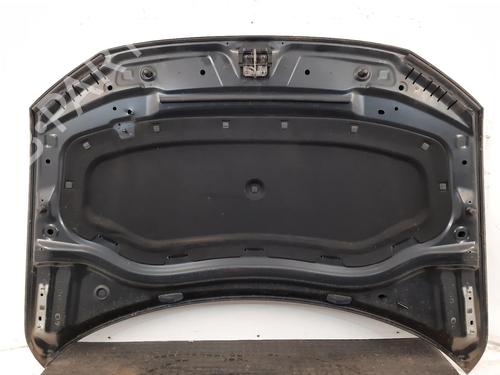 Motorhjelm VW TIGUAN (AD1, AX1) 2.0 TDI 4motion | BP29444663C1 