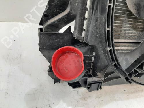 Radiator set MINI MINI (F55) One | BP29236730M120 