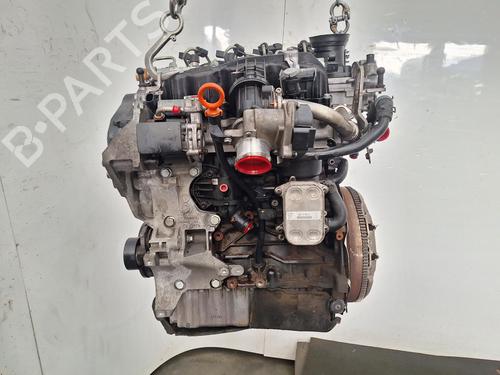 Engine SKODA OCTAVIA II (1Z3) 1.6 TDI | BP33124923M1 - Image 5