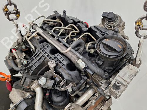 Engine VW GOLF VI Convertible (517) 1.6 TDI | BP30094695M1
