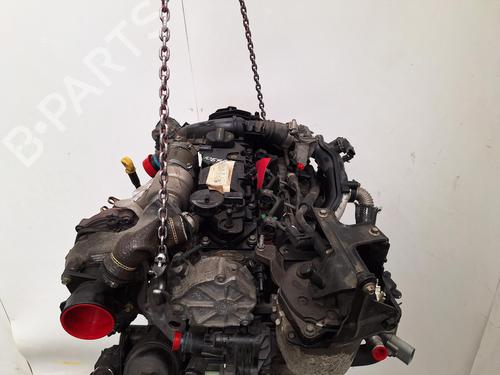 Engine FORD FOCUS III 1.6 TDCi | BP36950914M1 - Image 4